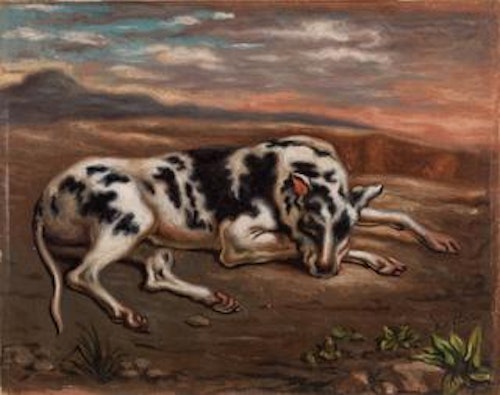 Dog in Landscape (Cane nel paesaggio)