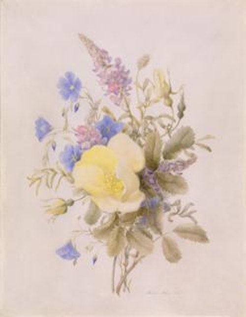 Flowers with Yellow Rose