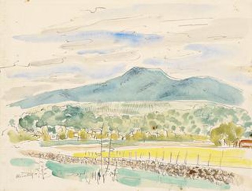 Mexican Landscape