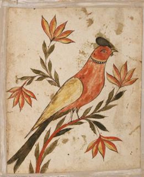 Bird Facing Right