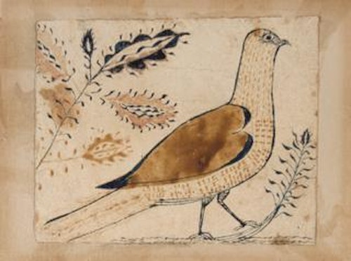 Bird