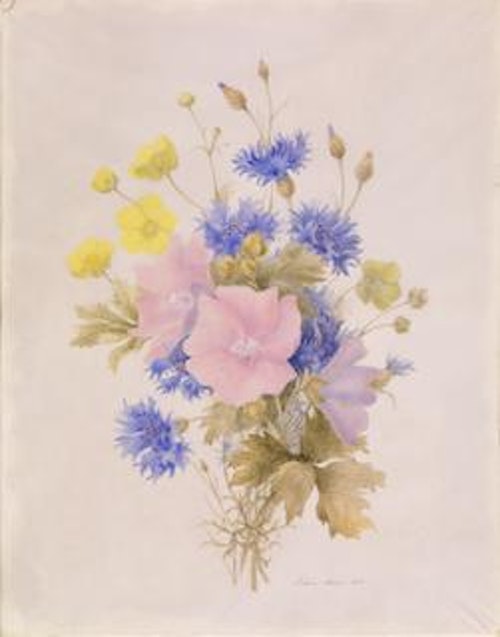Field Flowers