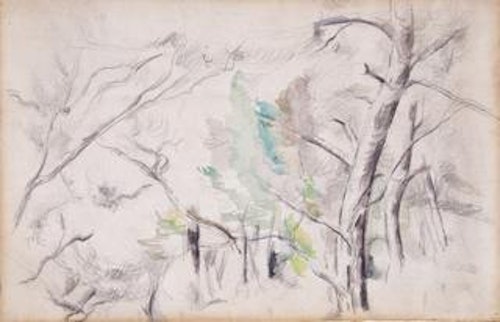 Trees (Arbres) [recto]; Encagnane with the Pilon du Roi (Encagnane et le Pilon du Roi) [verso]